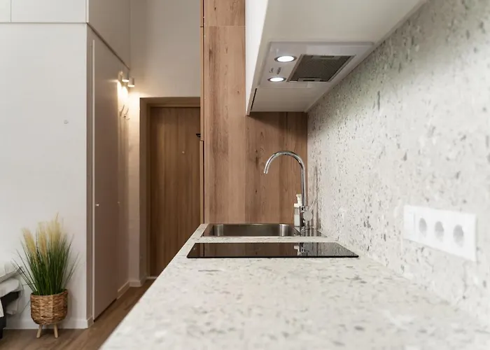 Air 104 Апартаменти Вільнюс